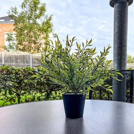 Apartman Duenenblick 39 Boltenhagen